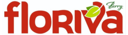 floriva ivanjica logo transparent
